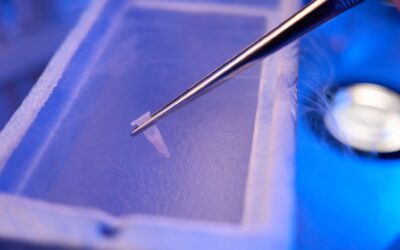Egg Freezing Costs in Murrieta & Beverly Hills: Invest in Your Future