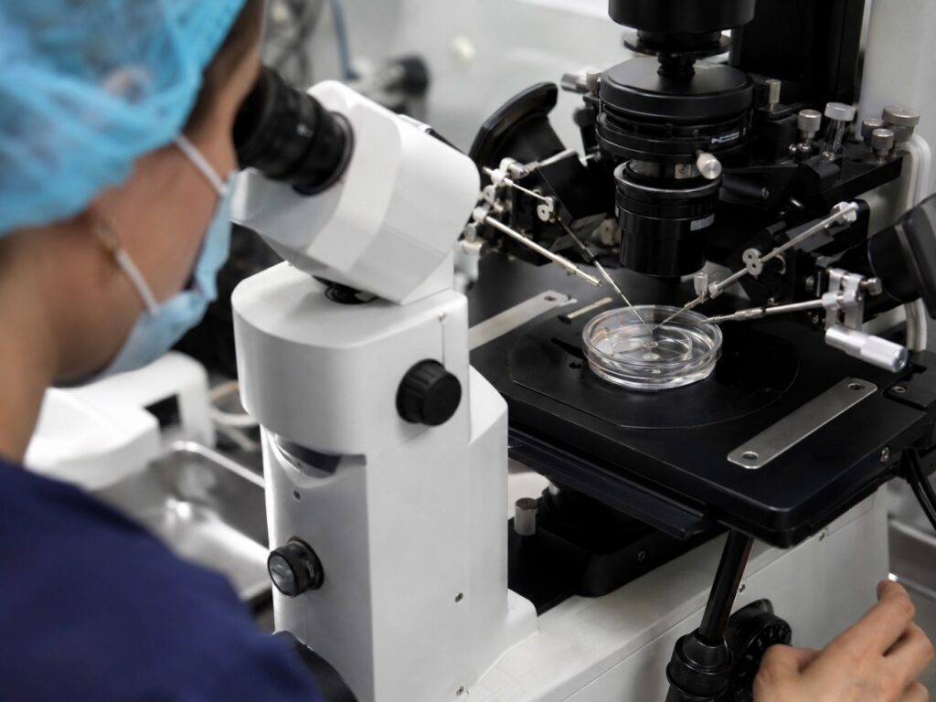Step 6: Fertilization in the IVF Laboratory